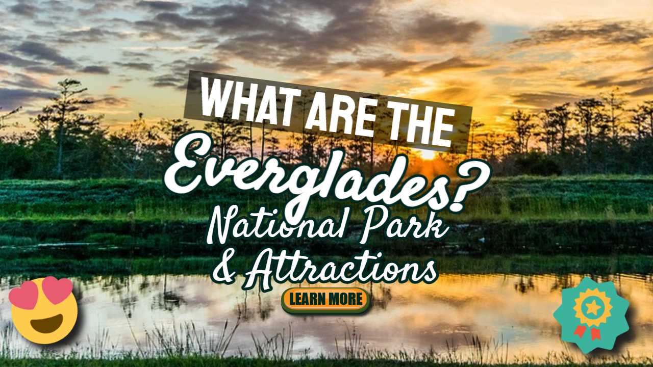 Featured image text: "What are the Everglades?"