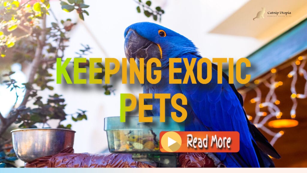 keeping Exotic pets