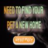 Need to Find Your Pet a New Home