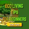 Eco Living Tips For Beginners