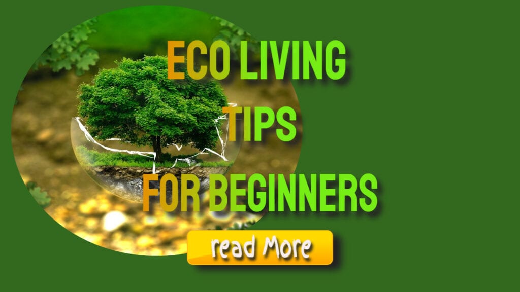 eco living tips for beginners