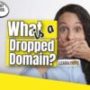 What is a Dropped Domain? Expired Domain Questions Explained