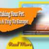 Taking Your Pet on a Trip to Europe