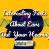 What Are Ears? What Do They Do? How Can I Keep My Ears Healthy?