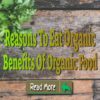 Benefits Of Organic Food – Reasons To Eat Organic