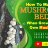 How To Grow Mushrooms On Logs In A Mushroom Bed