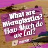 Microplastics – What Are They? How Much Microplastic Do We Eat?
