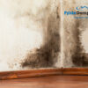Condensation In Your Home – How To Deal With The Problems