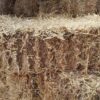 Barley Straw Bales and their many uses – 100% Natural