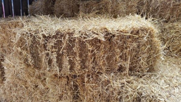 Barley Straw Bales and their many uses – 100% Natural - Orca Digitals