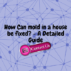 How Can Mould In A House Be Fixed? – A Detailed Guide