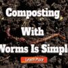 Indoor Composting With Worms Is Simple With These Steps