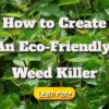 How to Create an Eco-Friendly Weed Killer