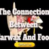 The Connection Between Earwax And Food