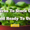 Herbs To Stock Up And Ready To Use