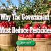 Why the Government Must Reduce Pesticides