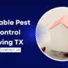 What are the Signs of a Pest Infestation in Your Home