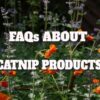 Faqs About Catnip Products