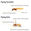 Flying Termites Control: Essential Steps to Take Now