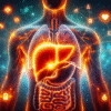 Liver Blood Test Guide for Kidsgrove Residents
