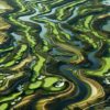 Golfing Destination: Discover Bellville Golf Club