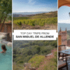 Day Trips from San Miguel de Allende: Hot Springs and Vineyards