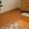 Terracotta Tile Resealing: Optimal Timing and Techniques