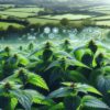 Herbs for Hair Shine: Best UK Picks for Radiant Locks