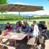 Yarrawood Estate: Uncover Your Ideal Wine Adventure