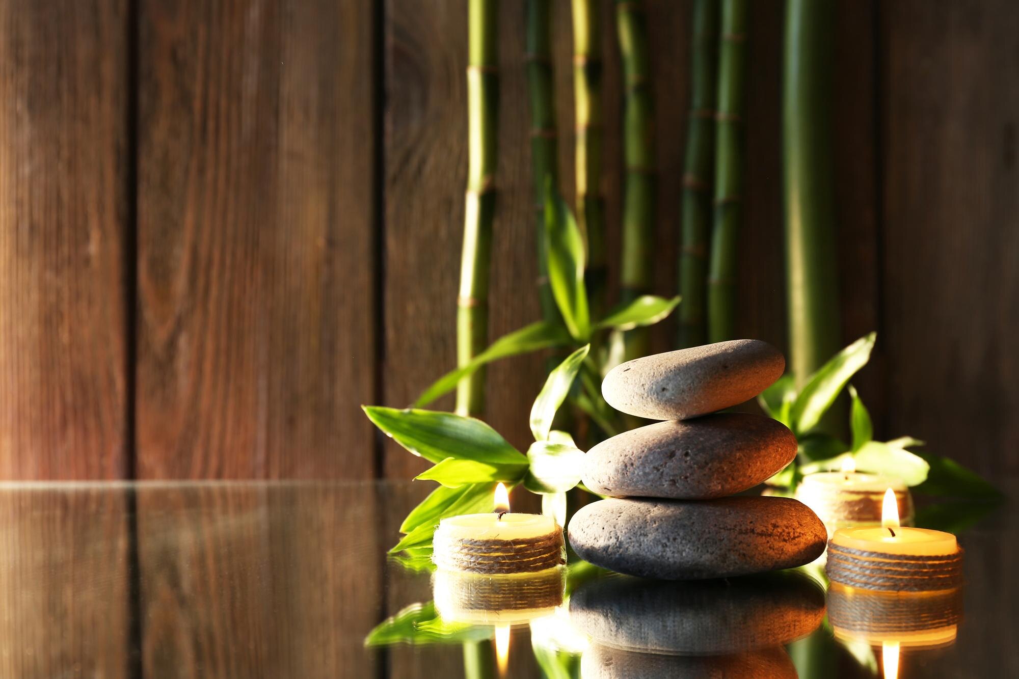 Wellness journey
