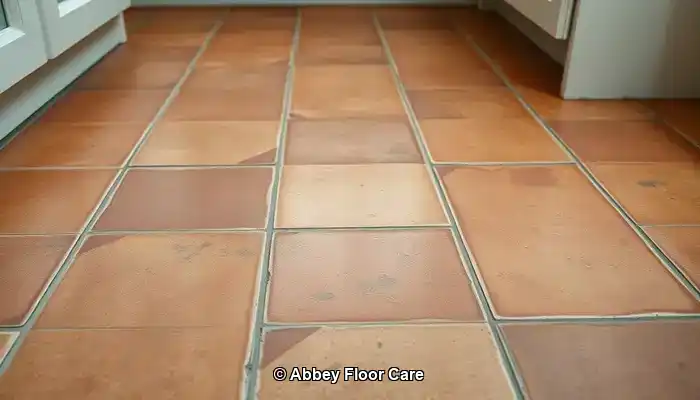 Identifying Key Factors Contributing to Fast Dirt Accumulation on Terracotta Floors