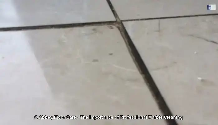 The Importance of Professional Marble Cleaning
