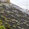 Slate Roof Cleaning Tips for Sydney Homeowners